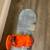 Burton snowboard size 157 like new condition 4 thumbnail