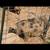 Kune kune mix 6 thumbnail