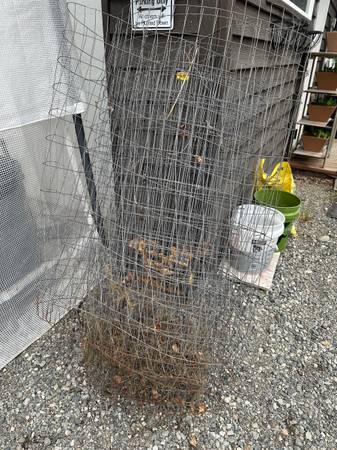 Livestock fencing 1