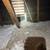 Attic Insulation Removal And New Insulation 7 thumbnail