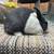 Purebred rabbits 2 thumbnail