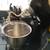 Hamilton Beach Kitchen Mixer- Price Reduced 3 thumbnail