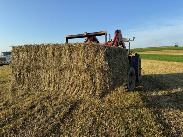 Hay for Sale 1