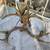 Antler Chandelier, Deer Horn, Vintage Style. Not real horns. 6 thumbnail
