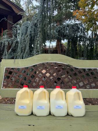 Raw. Nutritious Milk. Grass-Fed. Pasture Raised. Look how creamy! 1