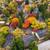In Chico, 2 Bed, Furnished and Unfurnished 7 thumbnail