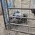 3 Kunekune pigs 5 thumbnail