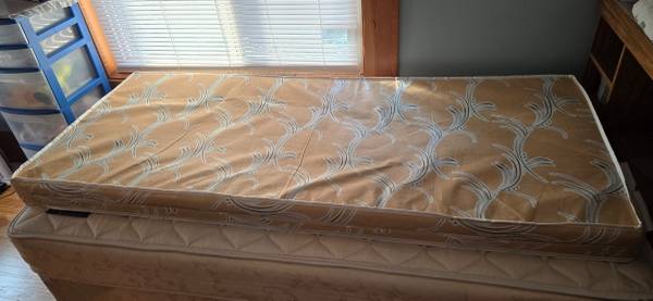 Single Sized Foam Matress 1