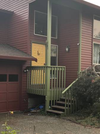 $775 / 1br - Light filled, quiet, low allergen room (West Olympia)63786943688577120