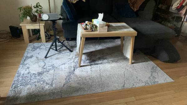 Living room carpet 1