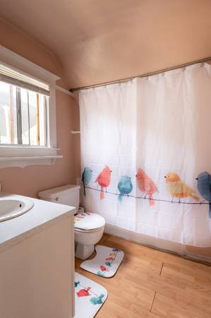$1600.00 / 2br - The Nest in Old Colorado Springs, nestled in the trees safe and quiet63686653601539122