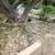 **BEST PRICES ANYWHERE!! PRESSURE WASHING IN ALL SAN ANTONIO AREAS!!! 5 thumbnail