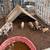 Mini pigs 3 thumbnail