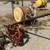 Sicklemower New Holland 451 2 thumbnail