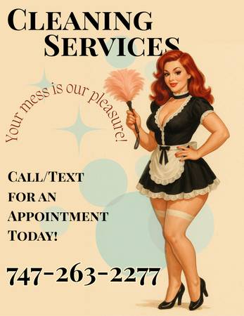 Reliable & Fun Maid Service – Professional Cleaning With a Twist 1