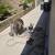 Repipe Plumbing Sewer Camera Inspection Hydro jetting Rooter service 3 thumbnail