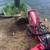 Carrillo's Stump Grinding**same day service available. 19 thumbnail