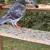 Pigeons 1 thumbnail