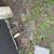 Paver Bricks Concrete 9 thumbnail