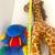 Free Stuffed animals Hippo Giraffe 4 thumbnail