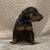 Min pins 12 thumbnail