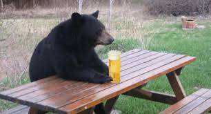 Bears with Beer Cans 1