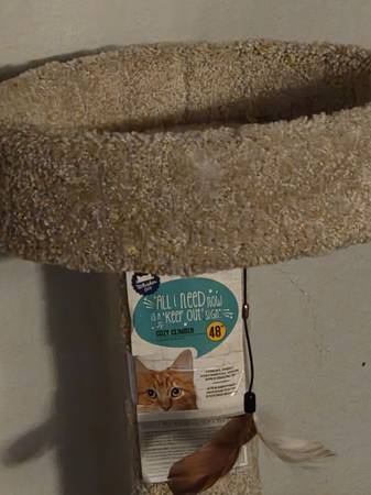 Cat tree $100 1