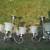 2 Intertek 5 light chrome chandelier light fixtures 6 thumbnail