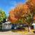 One room available in spacious 3 Bed / 2.5 Bath house 1 thumbnail