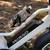 PEDEGO Element All-Terrain Fat-Tire Electric Bike ebike 7-Spd 500W V1 10 thumbnail