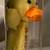 Pez Petz Barnyard Babies Plush Duckling Candy Dispenser Keychain 2005 3 thumbnail