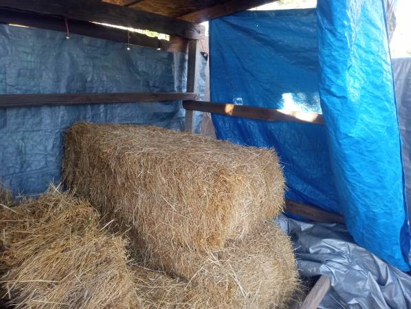 Hay for sale 1