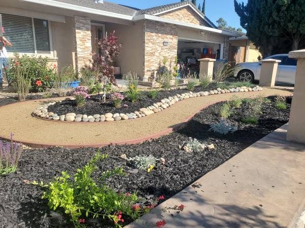 Landscape*lawn*Rocks*Cleanups*Sustainable *Drip 1