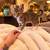 Kitten 1 thumbnail