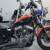 2009 Harley-Davidson Sportster XL1200N - NIGHTSTER 16 thumbnail