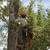 Tree Removal & Yard Work 8 thumbnail