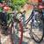 BICYCLE'S FOR SALE $100-$400, DIFFERENT PRICES, RIDE IT HOME 7 thumbnail