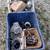 Pontiac Firebird Trans Am Parts Early 70s to late 70s parts LOOK!! 11 thumbnail