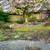 🌷YARD WORK 🌷Trimming Weeding Mulching Seeding🌷ONE TIME SERVICE'S 6 thumbnail