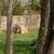 ☘️ RICH’S LANDSCAPING CO.☘️ 2 thumbnail