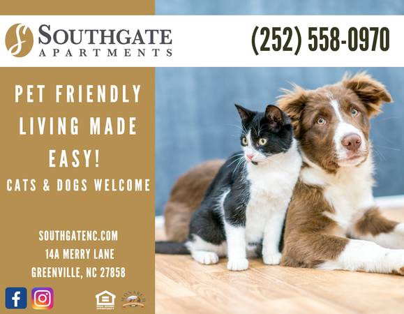 $1,170 / 1br - 700ft2 - ¡Un Nuevo Espacio Para TI y Tu MASCOTA! (Hora)63932059125122120