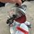 Ryobi compound miter saw 1 thumbnail