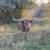 Longhorn Cow 1 thumbnail