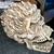 Flaming ceramic skull 2 thumbnail