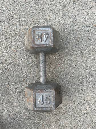 Dumbbell Weight 45 lbs - $40 (Alpharetta/ Johns Creek)63441255240323124