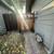 Studio room- private entrance, kitchen and bathroom 4 thumbnail