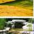 CLEAR POND - WEED & ALGAE CONTROL & CLARIFIER 3 thumbnail