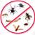 Bay Area Pest Control Service 1 thumbnail