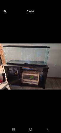 Acuario de 55 galones y soporte $175 (Chillicothe)633829648953611220