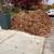 FALL CLEAN UPS/ GRASS CUTTING.. ALL ROCKVILLE AREA 1 thumbnail